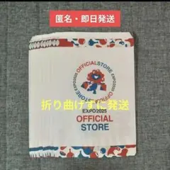 Item thumbnail for item 678202c1-2d06-44a7-8aa8-eb61cf34bf20