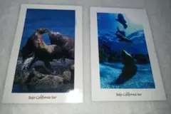 Item thumbnail for item 56116e37-c7a8-41e1-8cdf-ed539574b34c