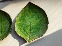 an##さま専用のサムネイル