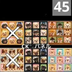 【45】CK様パネル　わんこ