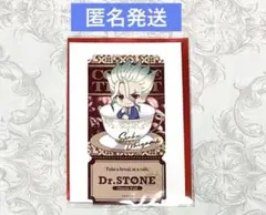 Dr.STONE AMOCAFE チケット風ステッカー　石神千空