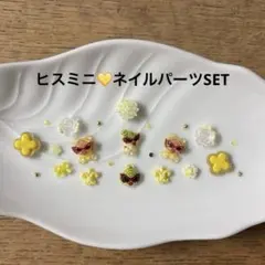 ネイルパーツSET❤︎ヒスミニ