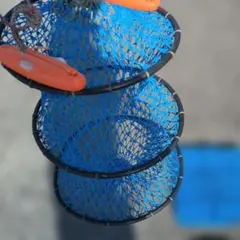 Item thumbnail for item d8d35b64-f534-42e6-a50a-4a98ab680950