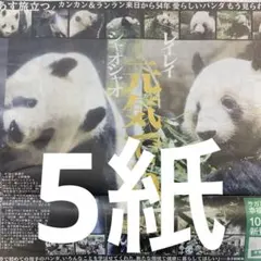 上野パンダ　シャオシャオ　レイレイ　新聞5紙