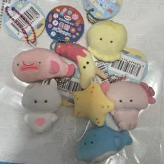 つぶらな瞳の水族館 ぷちマスコットBC