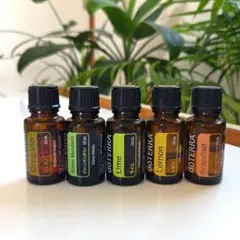 【開封済み】doTERRA アロマオイル 5本セット