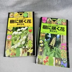 Item thumbnail for item b10e1e64-ffd0-48be-ad4c-8b6f9153eb66