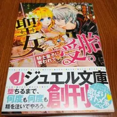 聖女受胎 騎士皇子に奪われて
