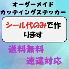 オーダーカッティングステッカー　車　バイク　チーム名　名前　三段シート　ボート