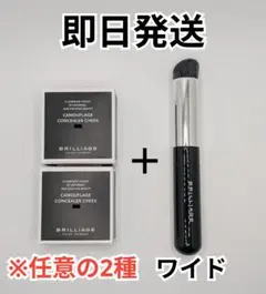 ブリリアージュ パウダリー ファンデーション プリズム 20(明るめ