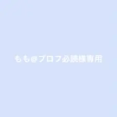 専用ページ