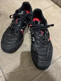 Item thumbnail for item ea07a176-c84a-4d57-8317-42639563ce05