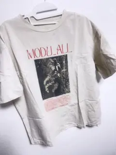 AMERI Tシャツのサムネイル