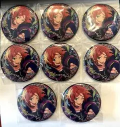 【新品‪・定価以下‪・送料込】葵ひなた中国星之所向缶バッジ