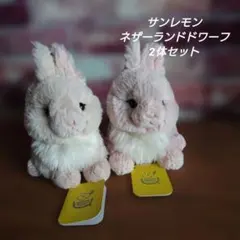 Item thumbnail for item ed714a61-d4b9-48b0-88da-ae0bf9b44d8b