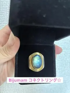 Item thumbnail for item 61da419e-e610-4ab0-a59a-8f243f446a86