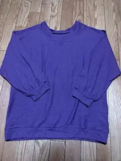 イング INGNI リブパープルVネック長袖トップス