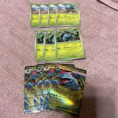 ポケモンカード　メガフシギバナex 進化ライン