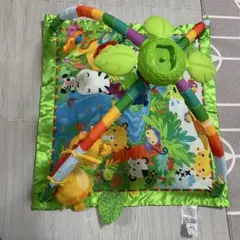 レインフォレスト　デラックスジムII