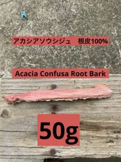 Item thumbnail for item ba89be0c-453e-41dd-9762-a48f80215b36