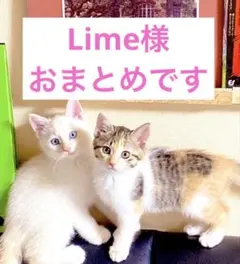 Lime＊休業中＊様 リクエスト 2点 まとめ商品