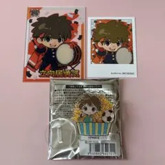 イナズマイレブン 缶バッチ 綱海条介 立向居勇気 - メルカリ