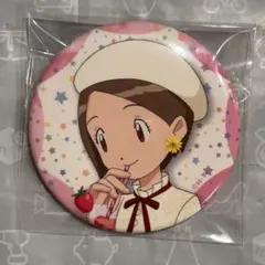 ハートキャッチプリキュア ローソン コラボ 限定 缶バッジ つぼみ