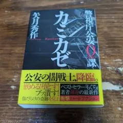 Item thumbnail for item 1124f2be-a4b3-4ca4-889b-2316677692cf