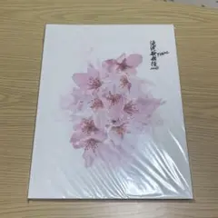 滝沢歌舞伎ZERO FINAL パンフレット