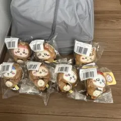 たぬきだもんくじ　C賞　まとめ