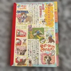 形で覚える都道府県 CD付 七田チャイルドアカデミー - メルカリ