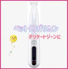 Item thumbnail for item 94bafa4d-e346-483d-b3cf-54c525e2449a