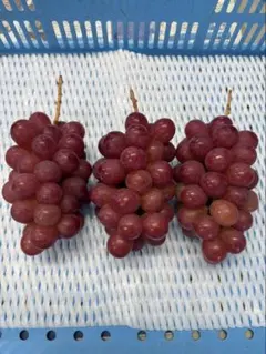 ⑳【訳あり予約】長野県産クイーンセブン約2kg【メルカリ便】 - メルカリ