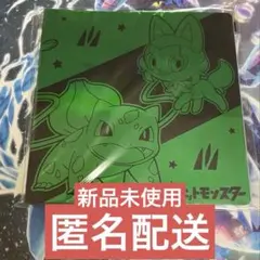 デコキャラシールホルダー 2023 ニャオハ　フシギダネのサムネイル