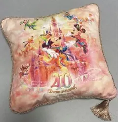 東京ディズニーリゾート 40周年限定クッションのサムネイル