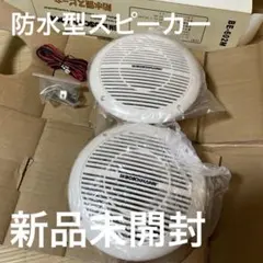 Altec Lansing ACS5 ヴィテージ PCタワースピーカー - メルカリ