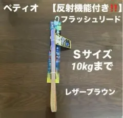 Item thumbnail for item 873177a0-406b-44da-946e-e2121ad0099b