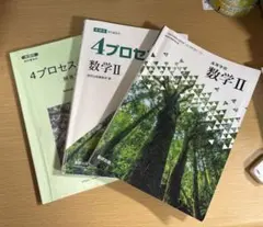 4プロセス 数学II 新課程 解答編付きのサムネイル