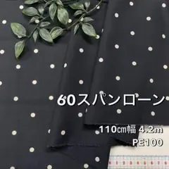 Item thumbnail for item d65bc9d9-4faf-4126-9d4e-9013d8a2a3d1