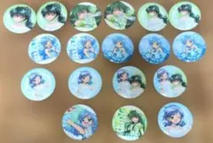 ぴちぴちピッチ リナ　波音　缶バッジ18点