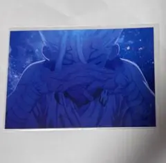 Dr.STONE eeo store ポストカード 特典 千空