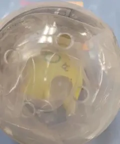 きらっととんでいけ しゃぼん玉 ポムポム プリン ガチャ シャボン玉