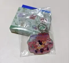 東京ディズニーリゾート　アクリル　キーチェーン