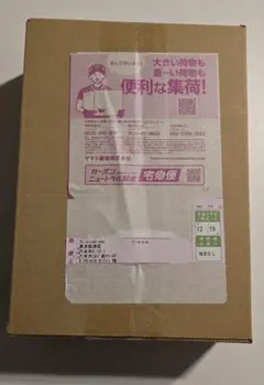 ポケセン産　未開封　MEGAスタートデッキ100バトルコレクション２点セット