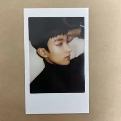 SEVENTEEN ドギョム チェキ carat land