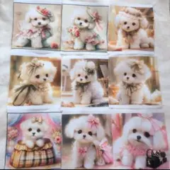 マルチーズ ②　パネル生地　9枚セット☆犬柄　プリント生地