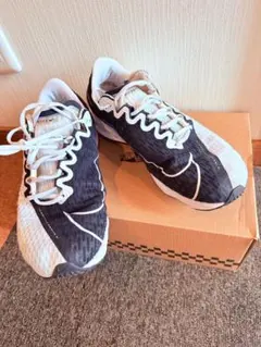 Nike ランニングシューズ ブラック/ホワイト 27.5