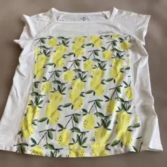 Paradiso レモン柄 メッシュ Tシャツ Lサイズのサムネイル