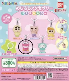 クレヨンしんちゃん めじるしアクセサリー