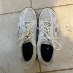 Item thumbnail for item 2a1f597b-fb42-476e-b207-738db9899993